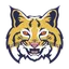 Leeds Bobcats